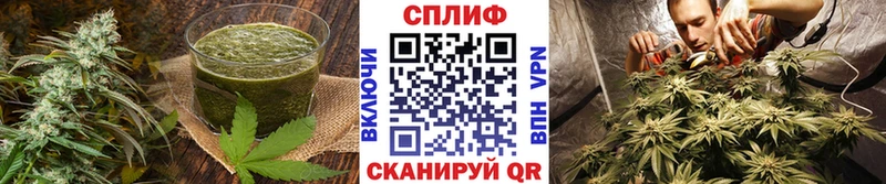 Cannafood конопля цена наркотик Нарьян-Мар
