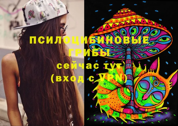 прущая мука Пролетарск