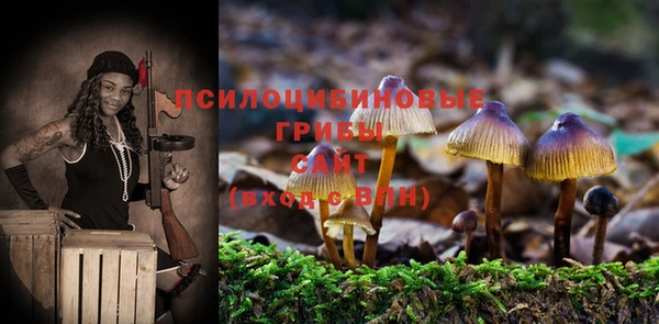 тгк Армянск
