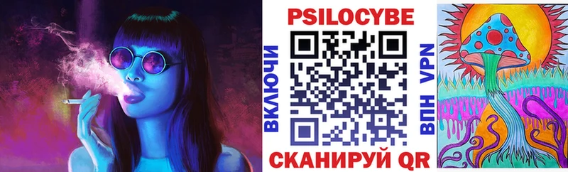 Псилоцибиновые грибы Psilocybine cubensis  Нарьян-Мар 