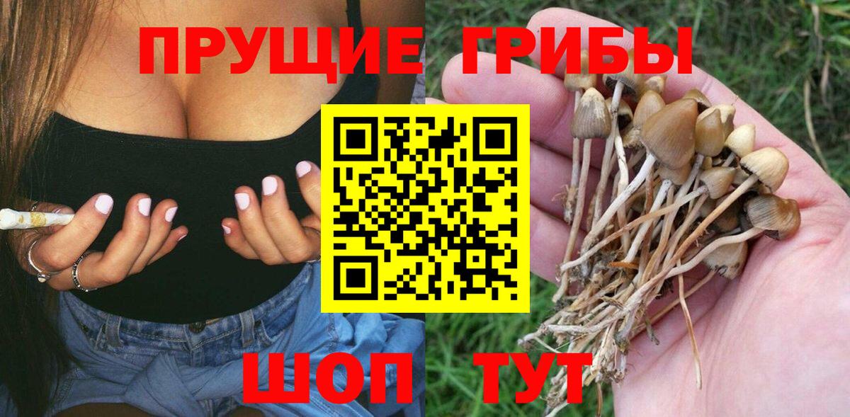 Галлюциногенные грибы Cubensis Нарьян-Мар